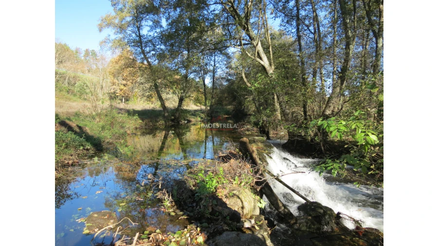 Quinta T0 para Venda em Santa Comba Foto 11