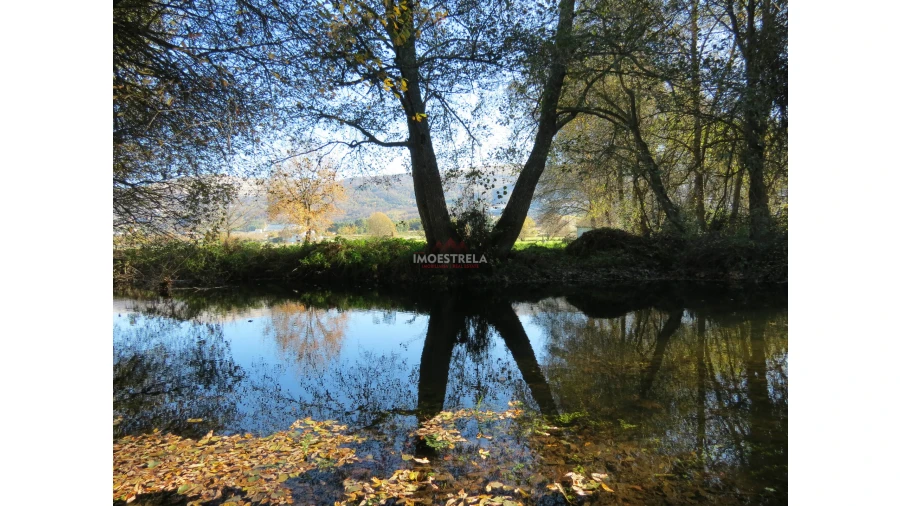 Quinta T0 para Venda em Santa Comba Foto 1