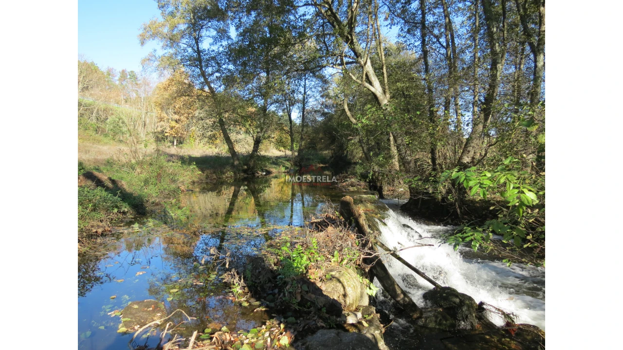 Quinta T0 para Venda em Santa Comba Foto 11