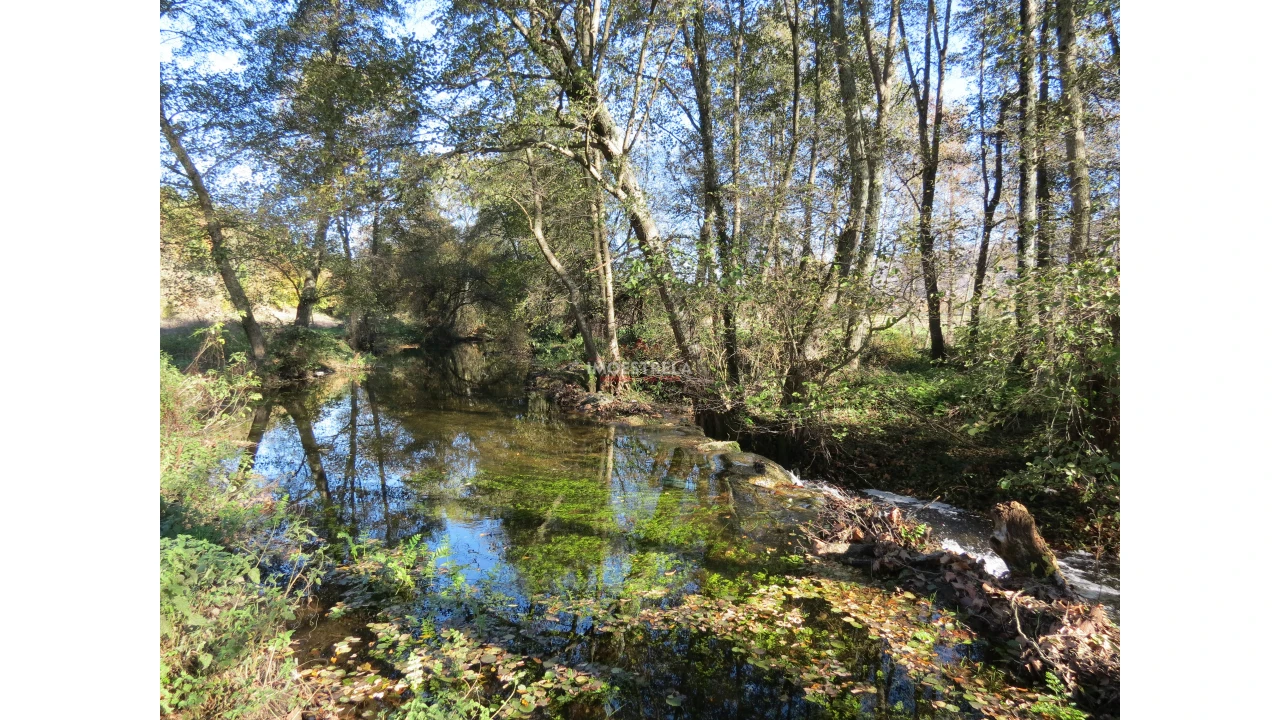 Quinta T0 para Venda em Santa Comba Foto 4