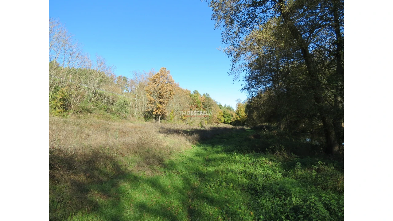 Quinta T0 para Venda em Santa Comba Foto 8