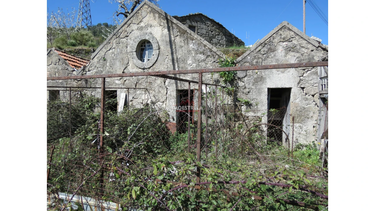 Terreno para Venda em Loriga Foto 7