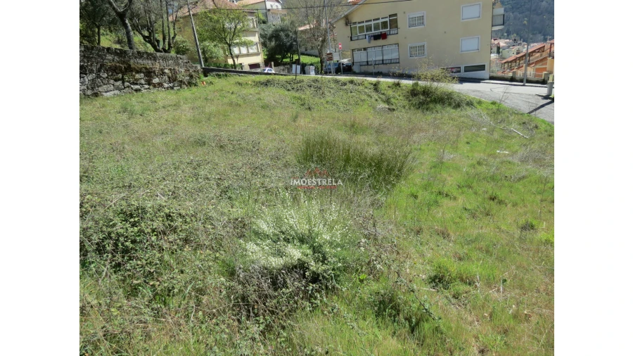 Terreno para Venda em Loriga Foto 5