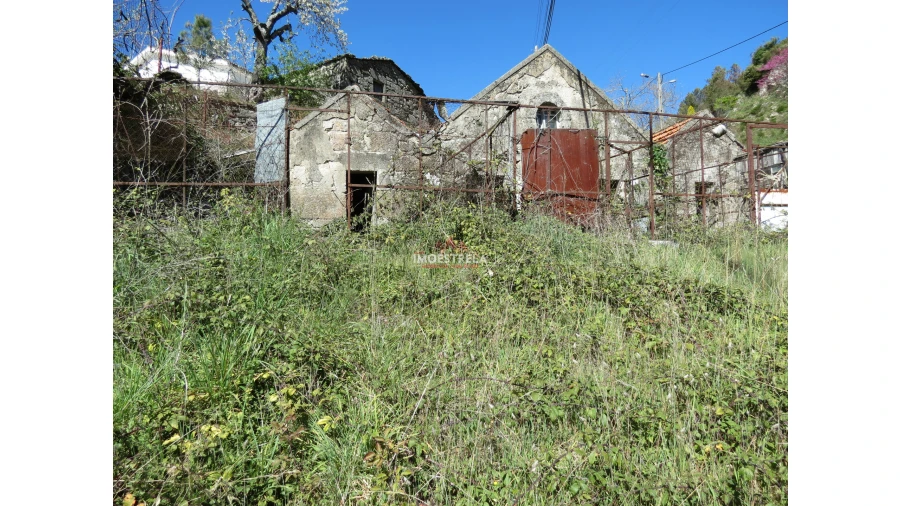 Terreno para Venda em Loriga Foto 4