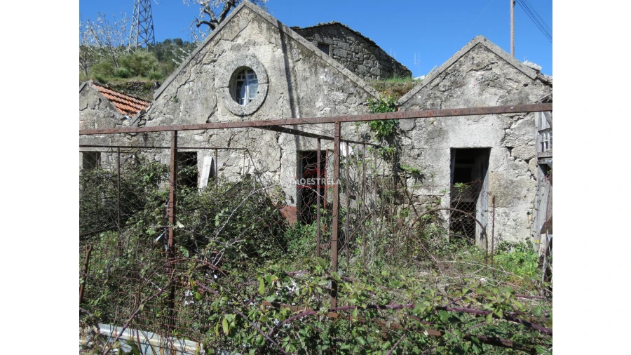 Terreno para Venda em Loriga Foto 7