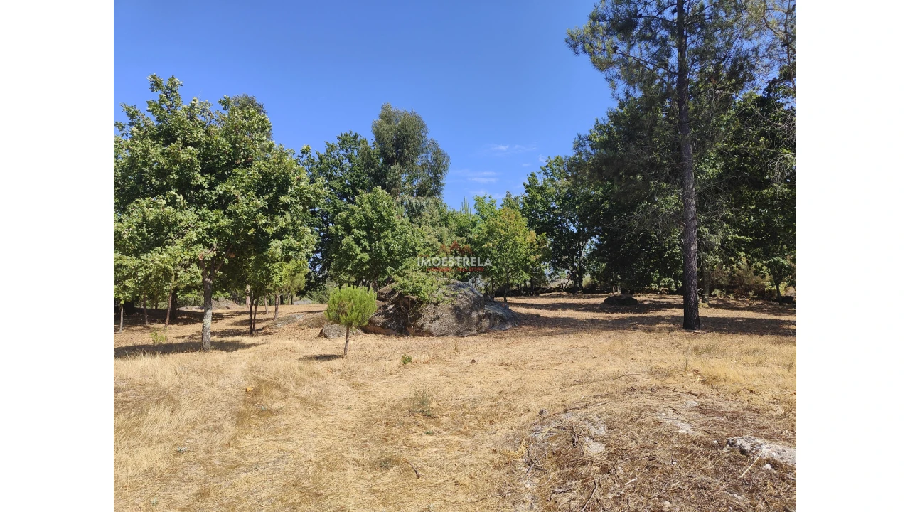 Quinta T0 para Venda em Moimenta da Serra e Vinhó Foto 2