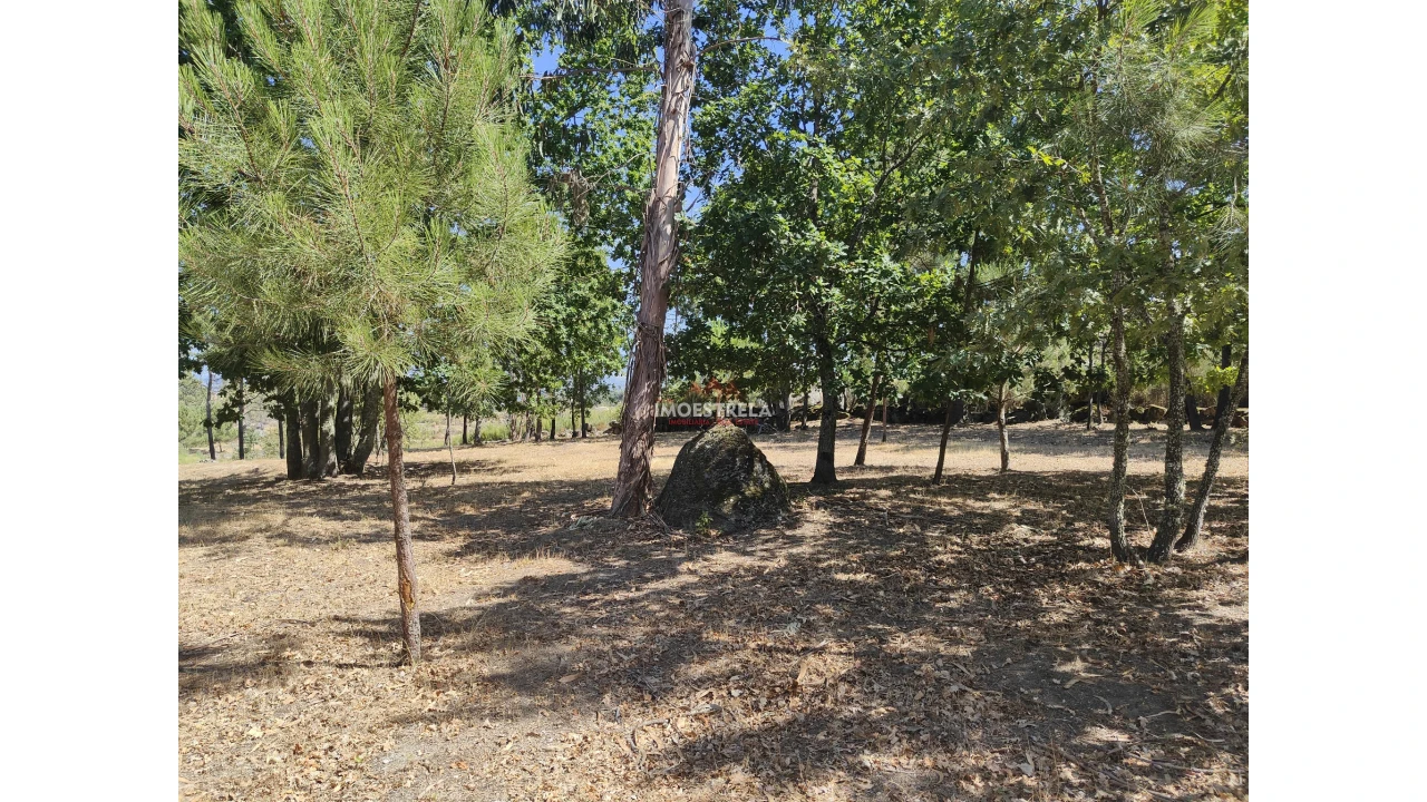 Quinta T0 para Venda em Moimenta da Serra e Vinhó Foto 4