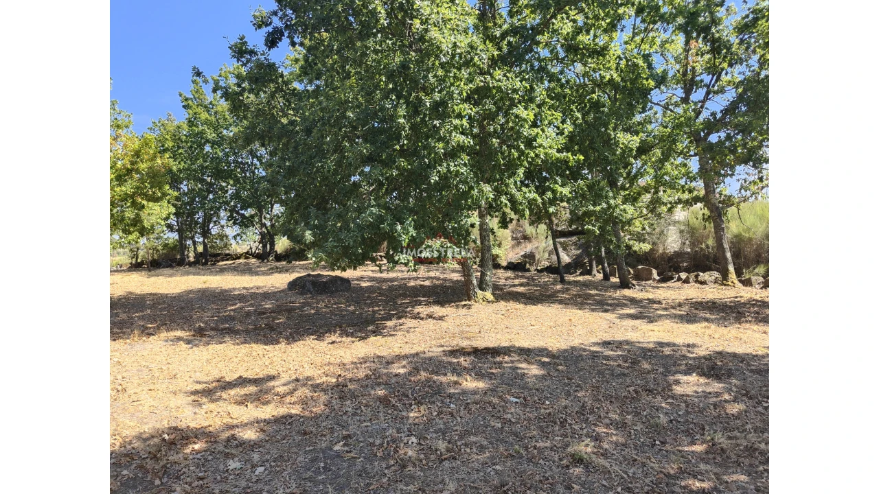 Quinta T0 para Venda em Moimenta da Serra e Vinhó Foto 3