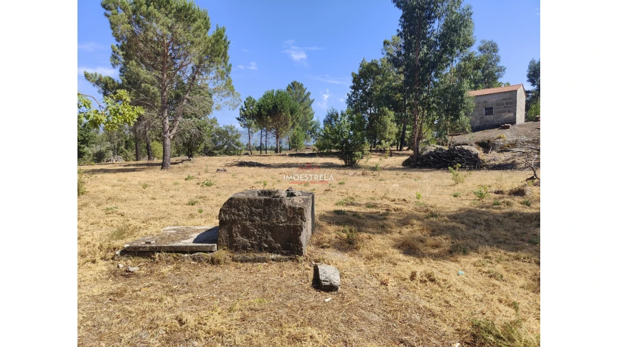 Quinta T0 para Venda em Moimenta da Serra e Vinhó Foto 10