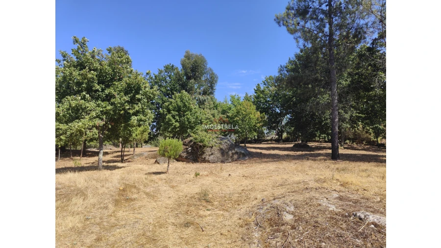 Quinta T0 para Venda em Moimenta da Serra e Vinhó Foto 2