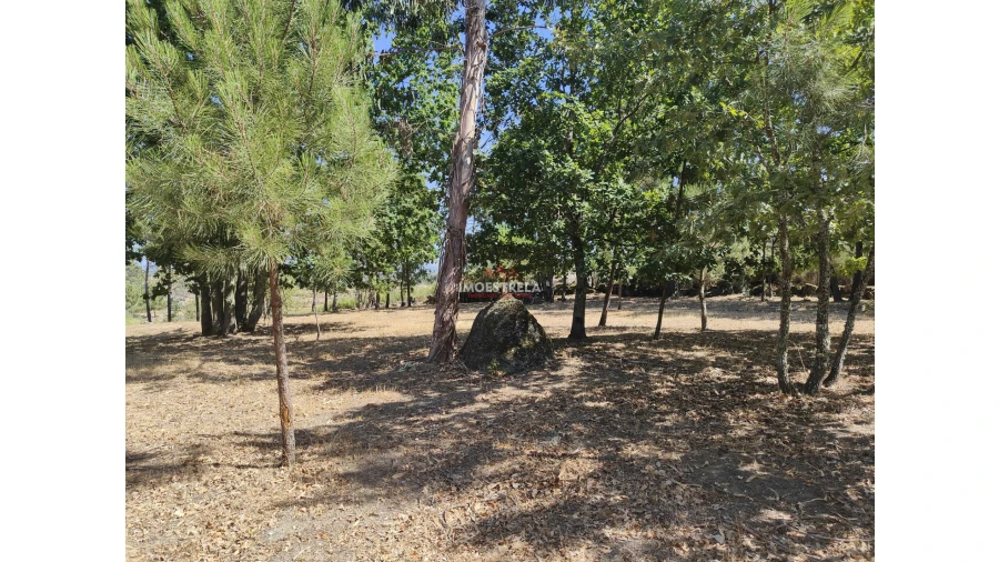 Quinta T0 para Venda em Moimenta da Serra e Vinhó Foto 4