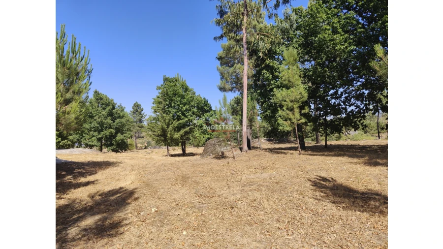 Quinta T0 para Venda em Moimenta da Serra e Vinhó Foto 5