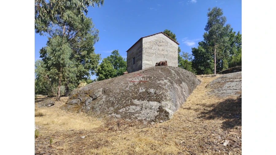 Quinta T0 para Venda em Moimenta da Serra e Vinhó Foto 8