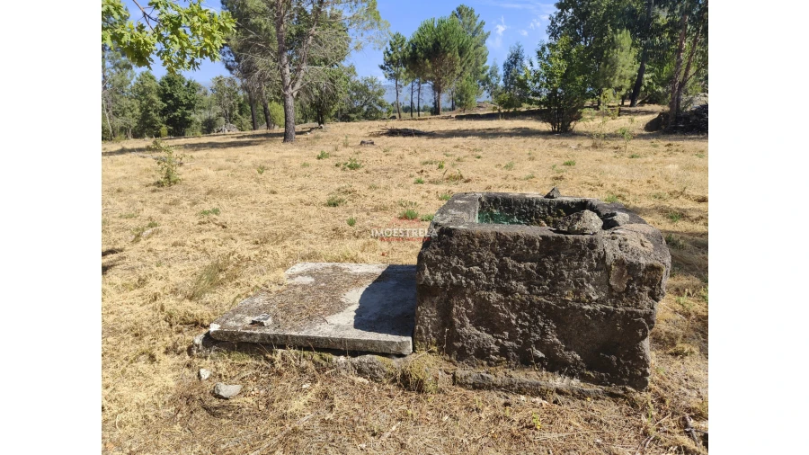 Quinta T0 para Venda em Moimenta da Serra e Vinhó Foto 11