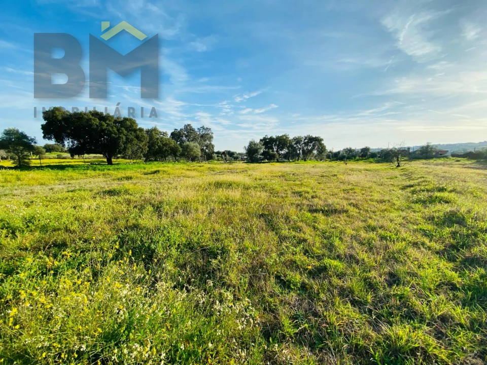 Moradia T0 para Venda em Zebreira e Segura Foto 22