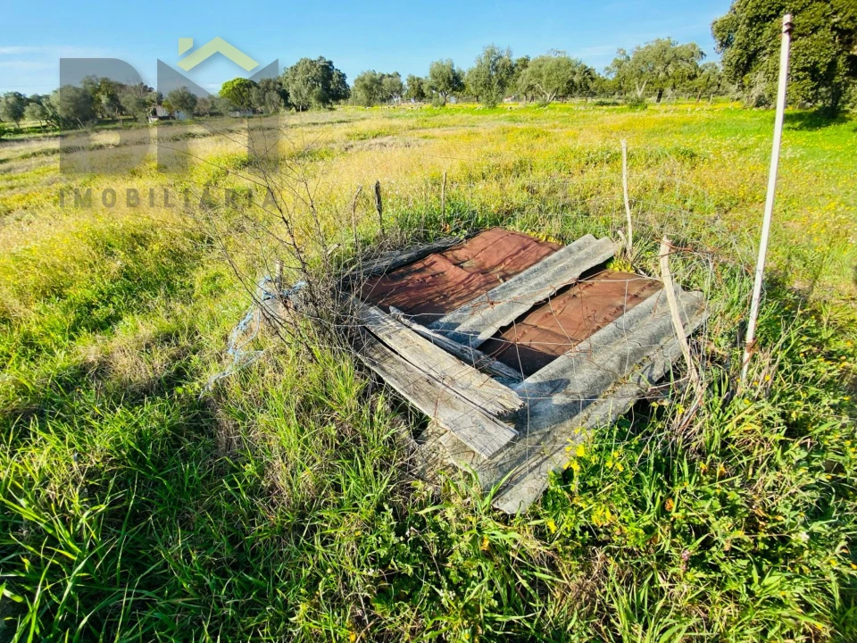 Moradia T0 para Venda em Zebreira e Segura Foto 20
