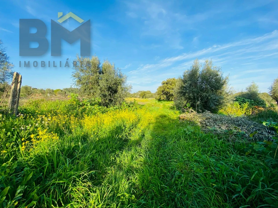 Moradia T0 para Venda em Zebreira e Segura Foto 26