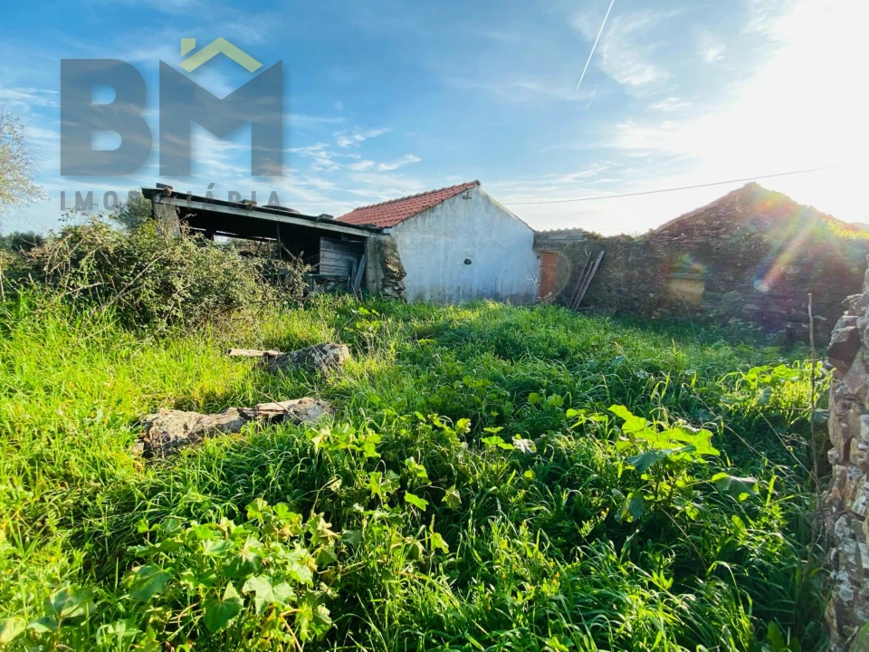Moradia T0 para Venda em Zebreira e Segura Foto 6