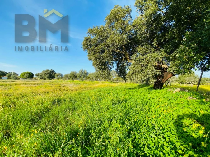 Moradia T0 para Venda em Zebreira e Segura Foto 16