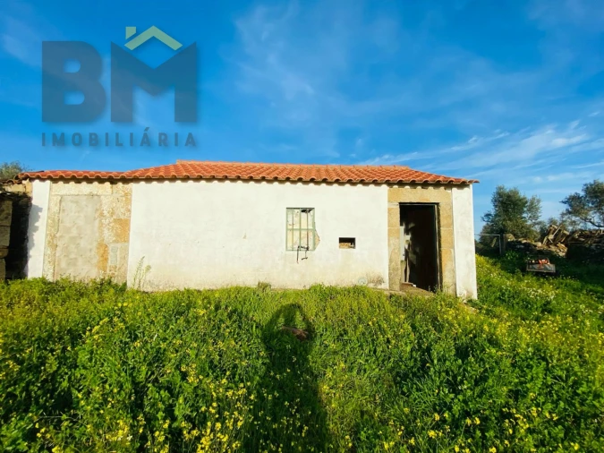 Moradia T0 para Venda em Zebreira e Segura Foto 2