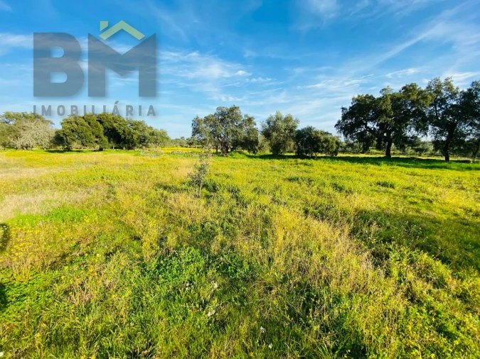 Moradia T0 para Venda em Zebreira e Segura Foto 23