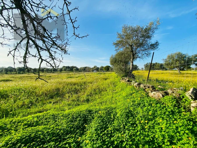 Moradia T0 para Venda em Zebreira e Segura Foto 21