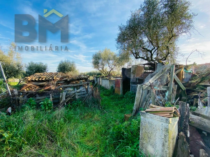 Moradia T0 para Venda em Zebreira e Segura Foto 17