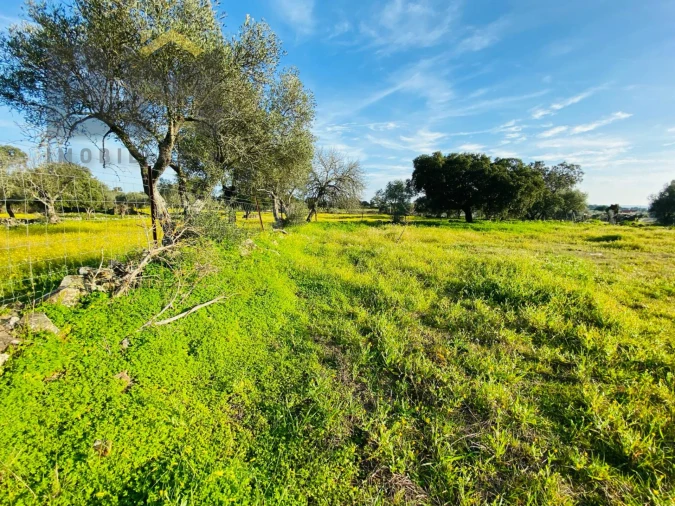 Moradia T0 para Venda em Zebreira e Segura Foto 24