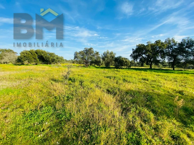 Moradia T0 para Venda em Zebreira e Segura Foto 25