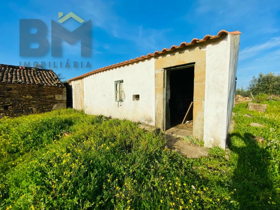 Moradia T0 para Venda em Zebreira e Segura Foto 4