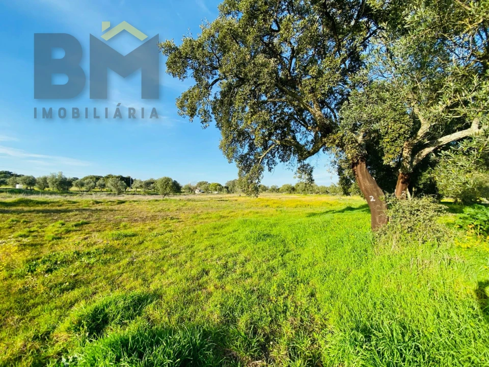 Moradia T0 para Venda em Zebreira e Segura Foto 18