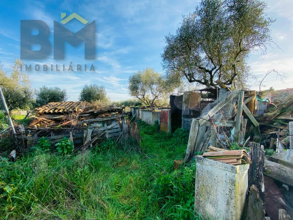 Moradia T0 para Venda em Zebreira e Segura Foto 17