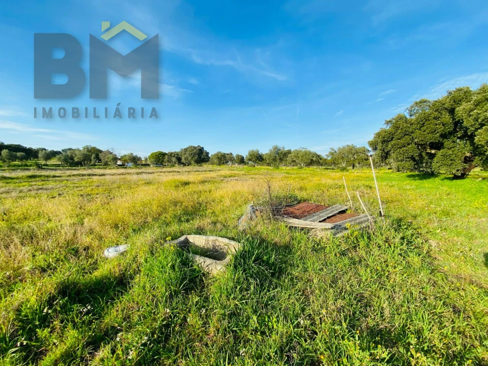 Moradia T0 para Venda em Zebreira e Segura Foto 15