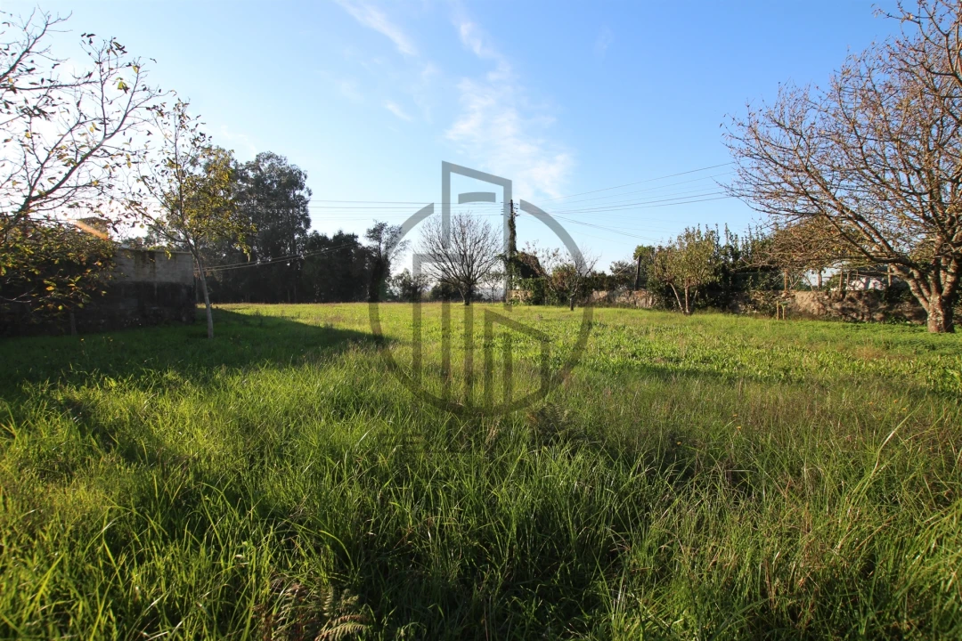 Terreno para Venda em Carreira e Bente Foto 6