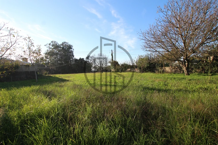 Terreno para Venda em Carreira e Bente Foto 1