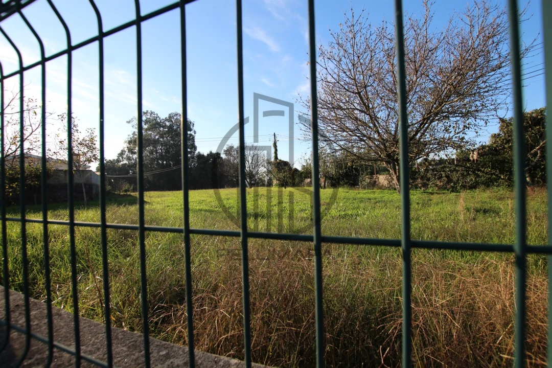 Terreno para Venda em Carreira e Bente Foto 4