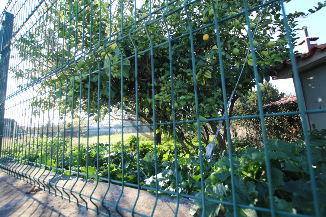 Terreno para Venda em Carreira e Bente Foto 5