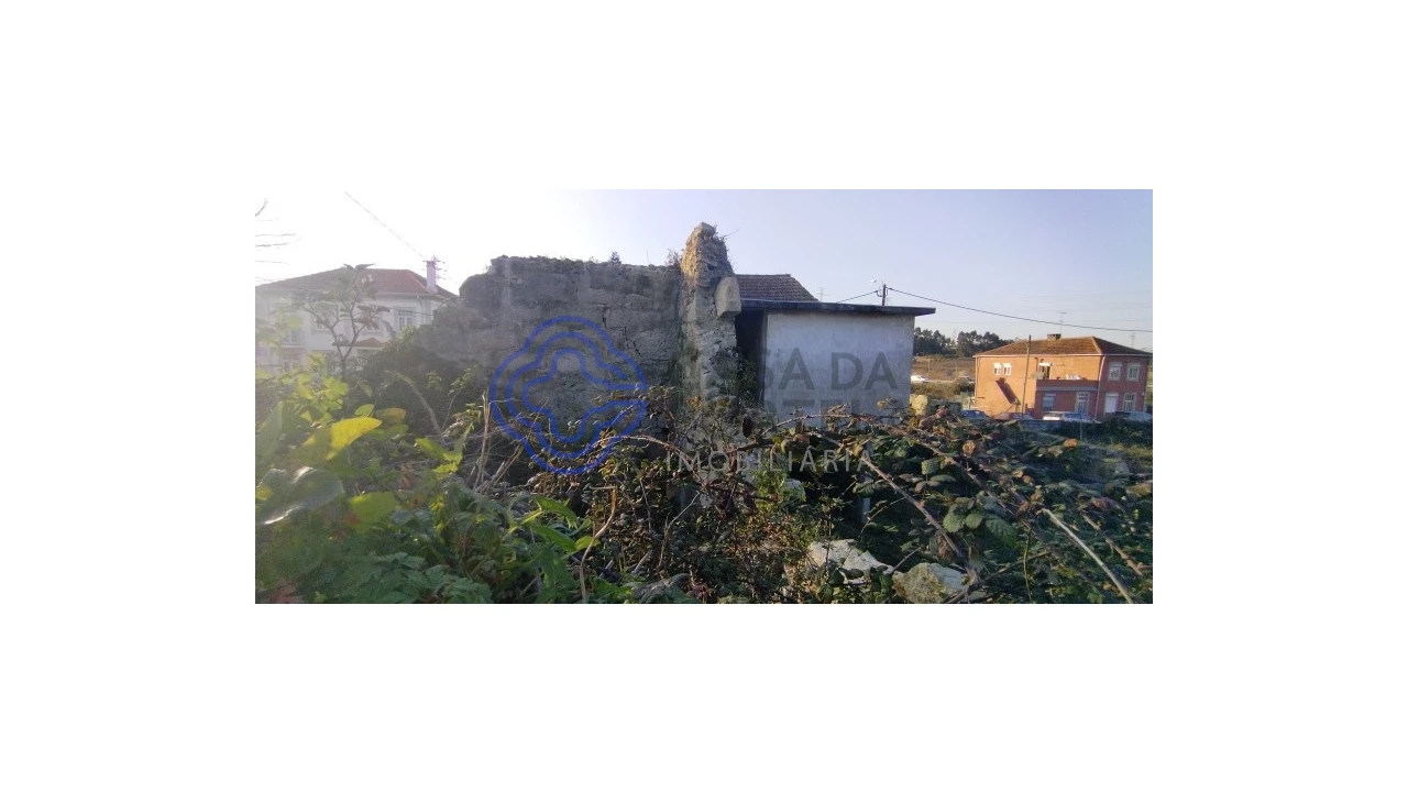 Terreno para Venda em Folgosa Foto 10