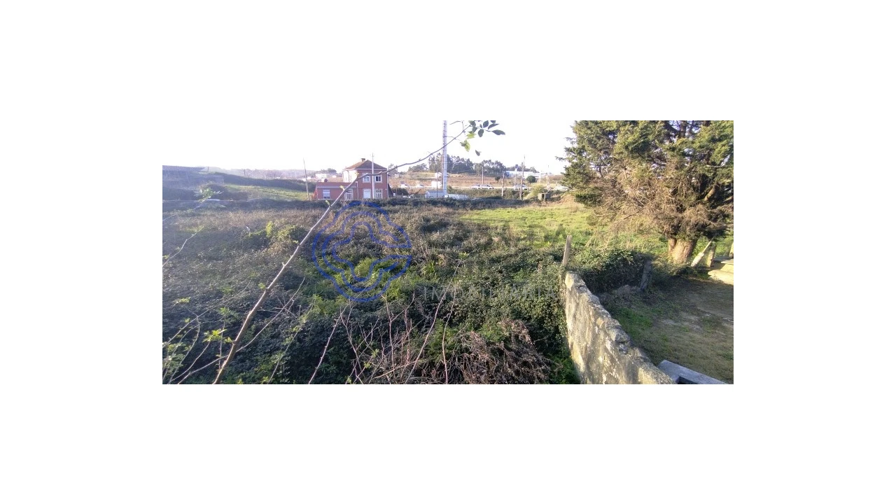 Terreno para Venda em Folgosa Foto 12