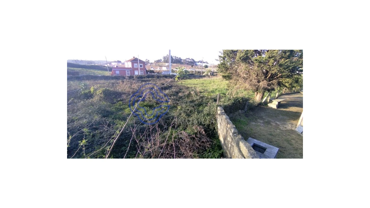 Terreno para Venda em Folgosa Foto 19