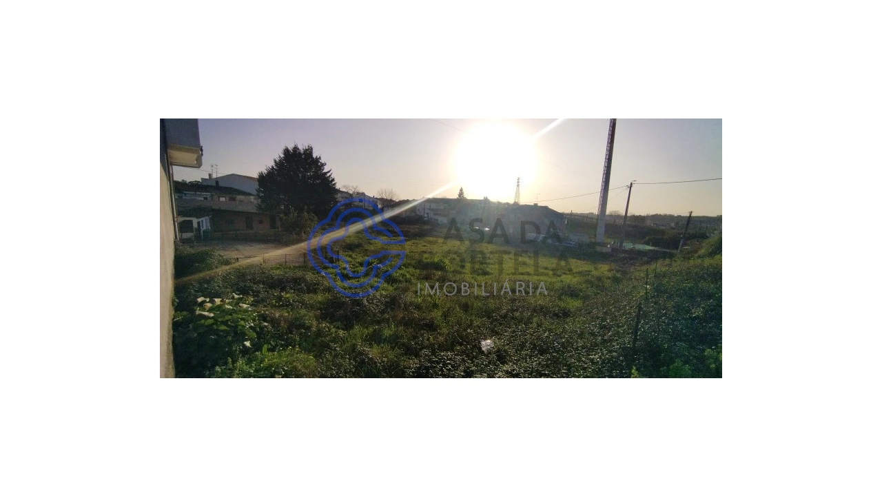 Terreno para Venda em Folgosa Foto 5