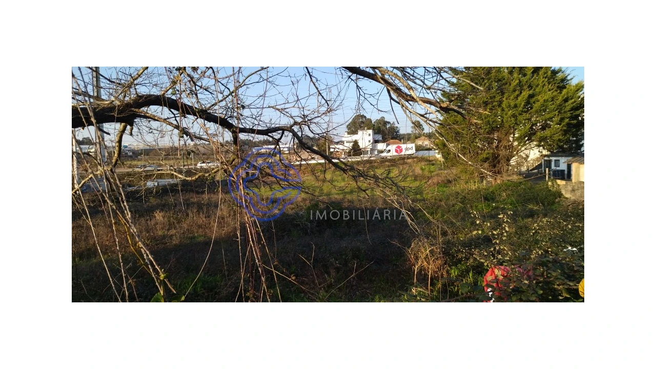 Terreno para Venda em Folgosa Foto 2