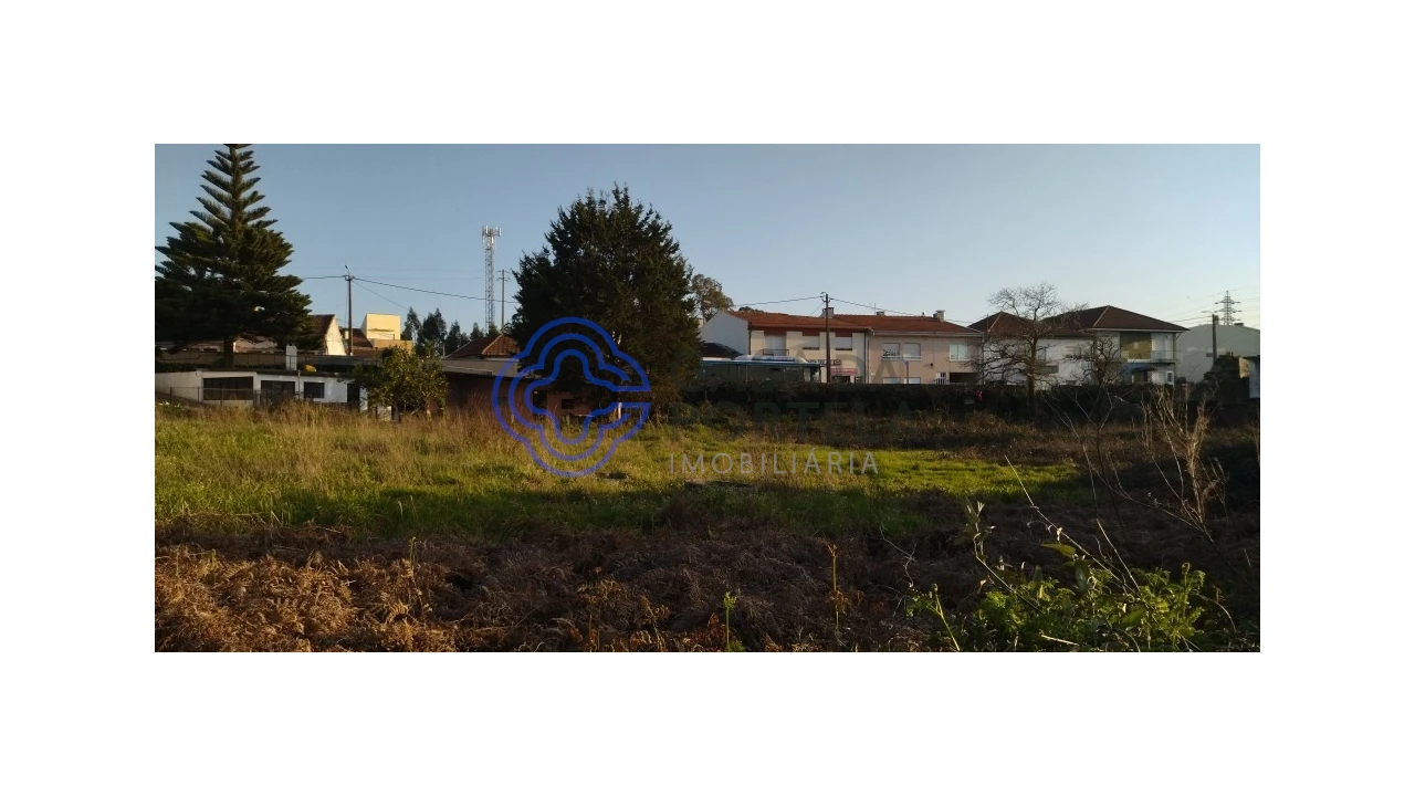 Terreno para Venda em Folgosa Foto 6