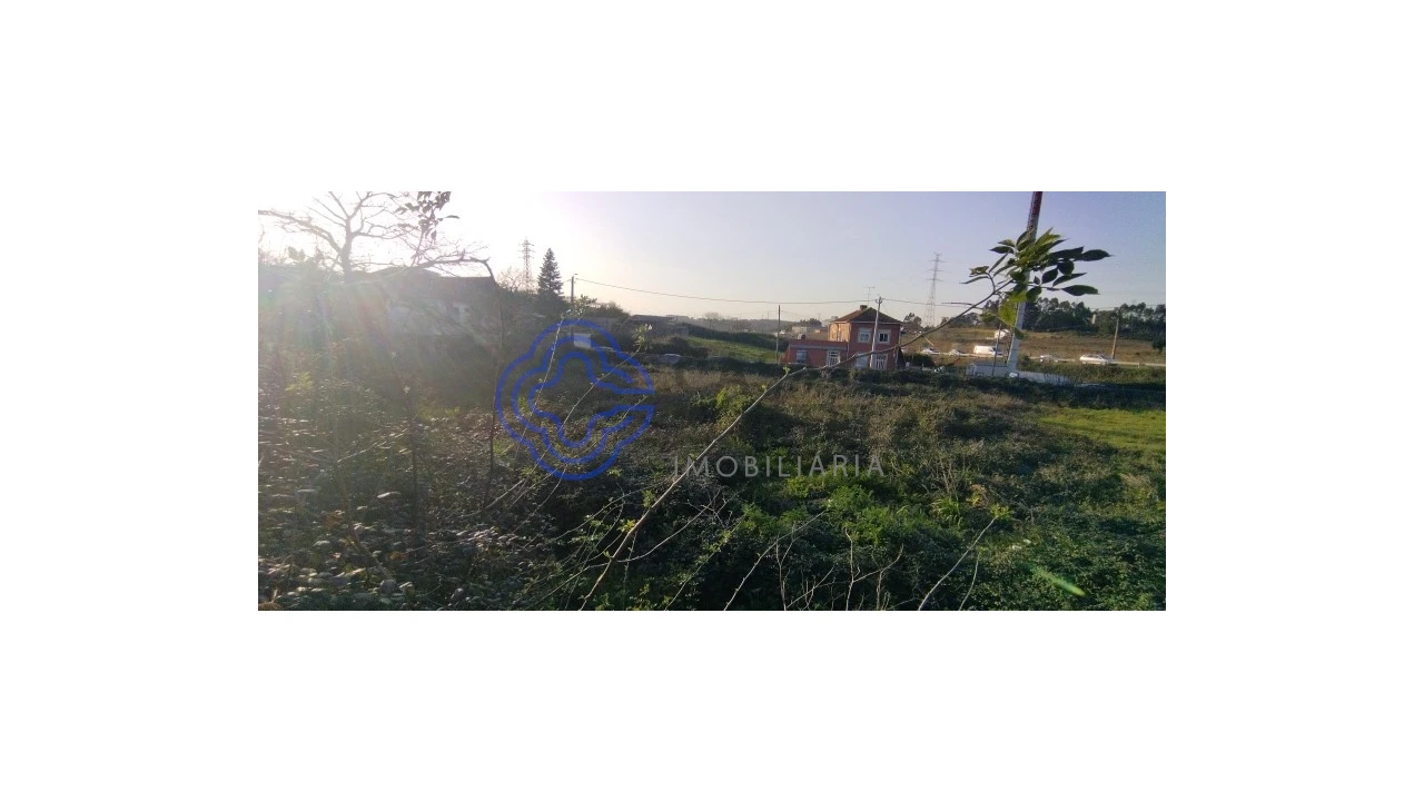 Terreno para Venda em Folgosa Foto 13