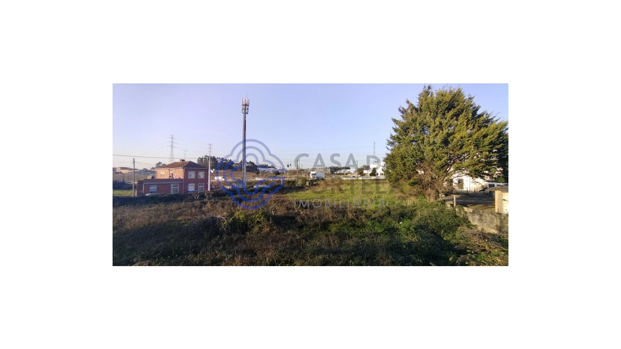 Terreno para Venda em Folgosa Foto 22