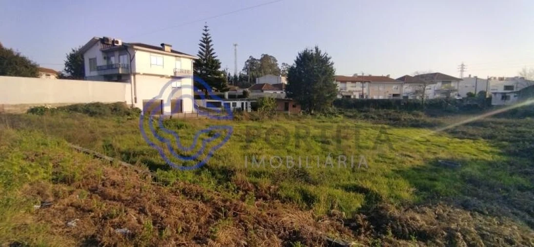 Terreno para Venda em Folgosa Foto 15