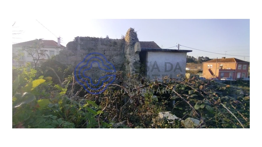 Terreno para Venda em Folgosa Foto 10