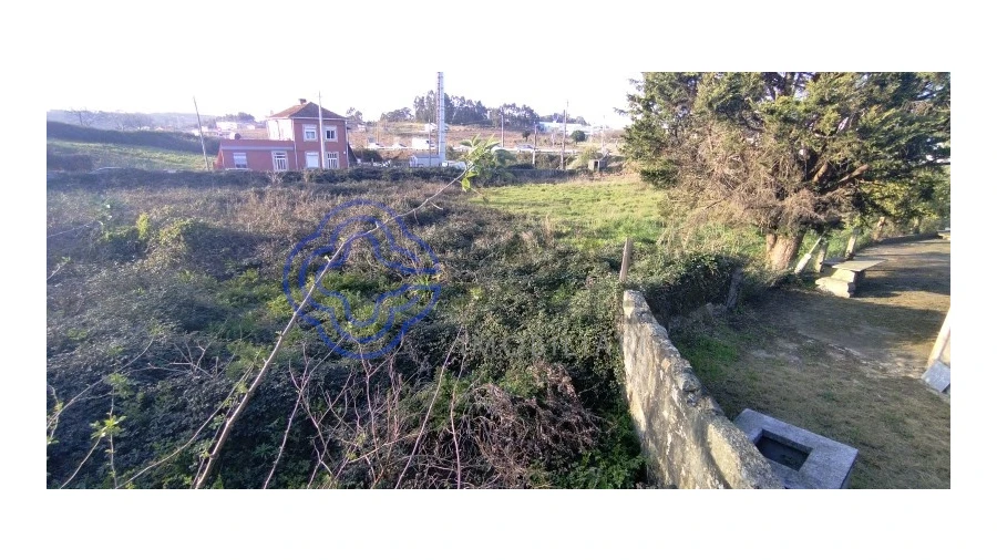 Terreno para Venda em Folgosa Foto 19