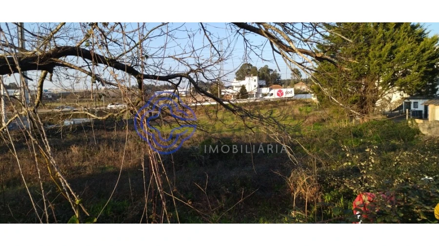 Terreno para Venda em Folgosa Foto 2