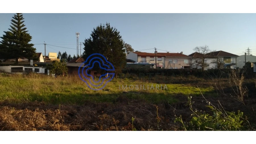 Terreno para Venda em Folgosa Foto 6